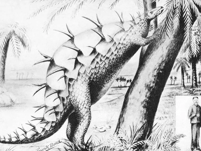 An old drawing of a Stegosaurus with plates lying flat and many spikes, beside tall trees