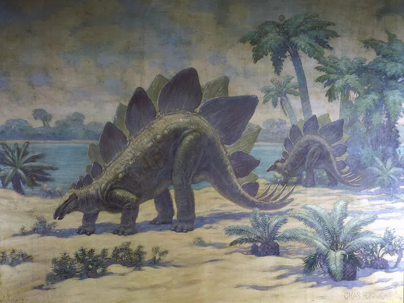 A painting of a Stegosaurus walking past cycads and ferns